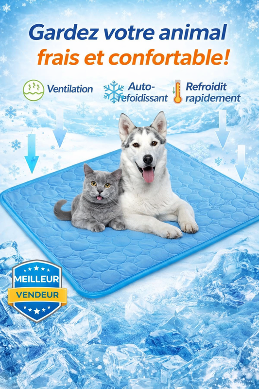 Tapis Rafraîchissant pour Chien et Chat — Tapis Fraîcheur Anti-Chaleur, Lavable & Antidérapant